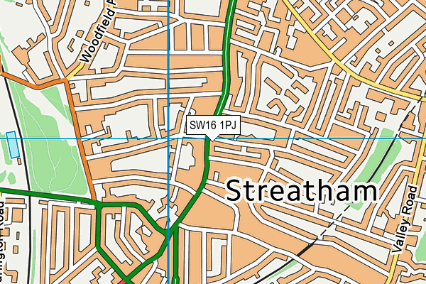 SW16 1PJ map - OS VectorMap District (Ordnance Survey)