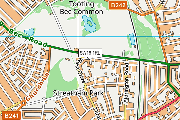 SW16 1RL map - OS VectorMap District (Ordnance Survey)