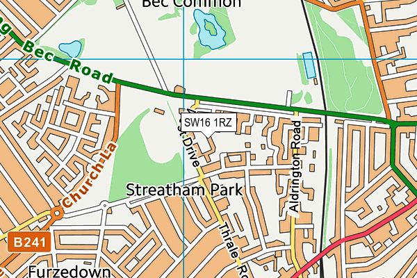 SW16 1RZ map - OS VectorMap District (Ordnance Survey)