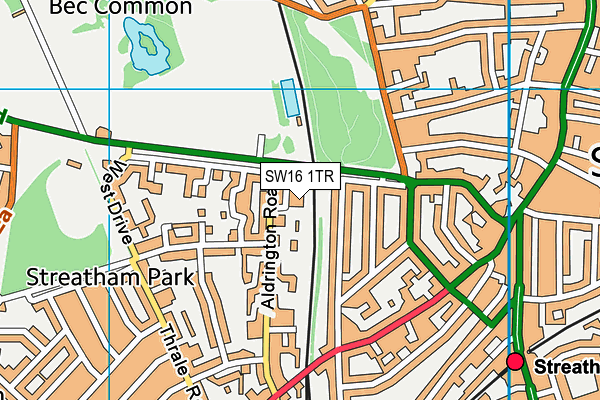 SW16 1TR map - OS VectorMap District (Ordnance Survey)