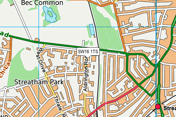 SW16 1TS map - OS VectorMap District (Ordnance Survey)