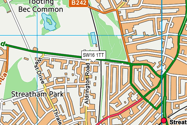 SW16 1TT map - OS VectorMap District (Ordnance Survey)