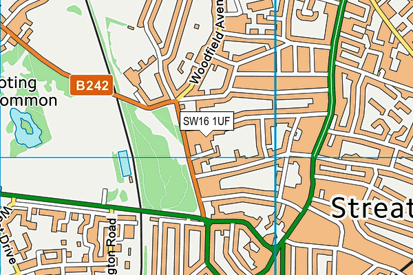 SW16 1UF map - OS VectorMap District (Ordnance Survey)