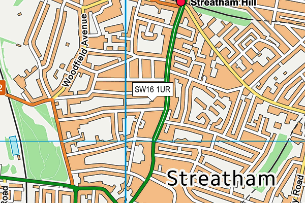 SW16 1UR map - OS VectorMap District (Ordnance Survey)