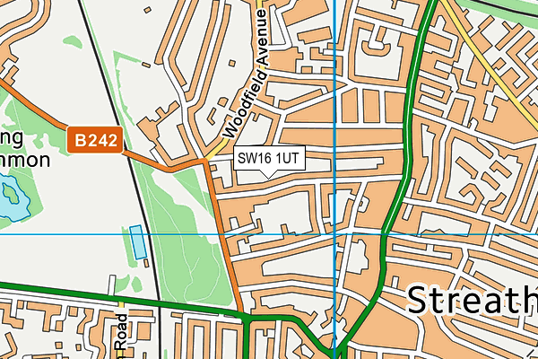 SW16 1UT map - OS VectorMap District (Ordnance Survey)