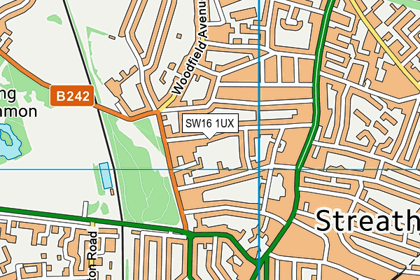 SW16 1UX map - OS VectorMap District (Ordnance Survey)