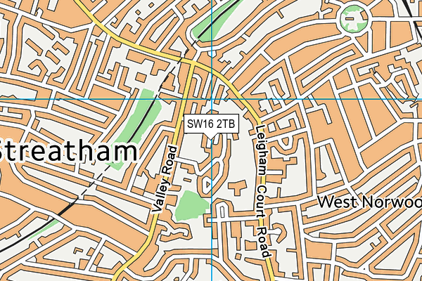 SW16 2TB map - OS VectorMap District (Ordnance Survey)