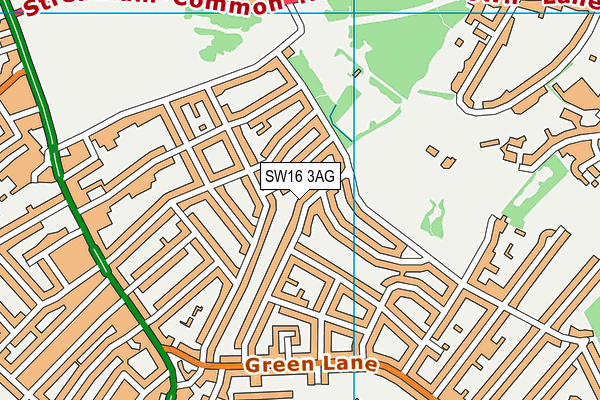 SW16 3AG map - OS VectorMap District (Ordnance Survey)