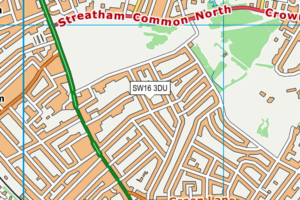 SW16 3DU map - OS VectorMap District (Ordnance Survey)