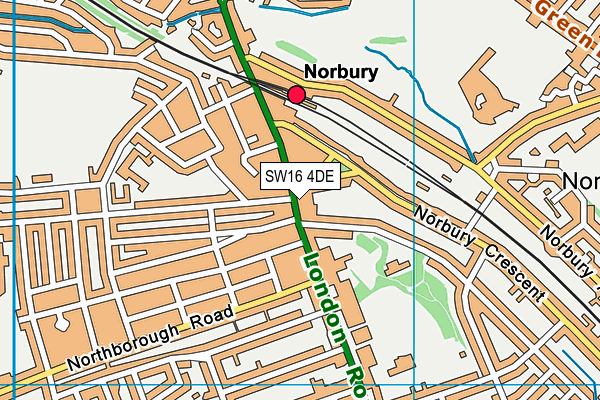 SW16 4DE map - OS VectorMap District (Ordnance Survey)