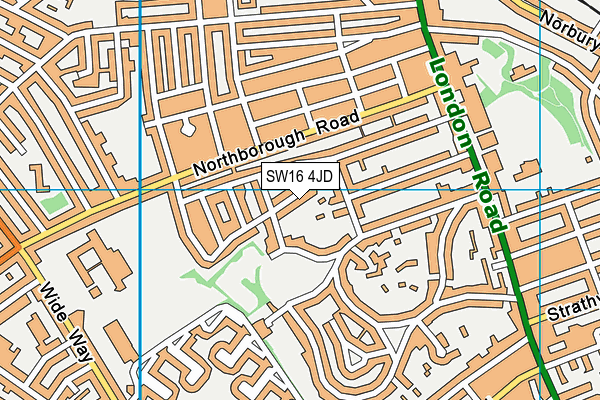 SW16 4JD map - OS VectorMap District (Ordnance Survey)