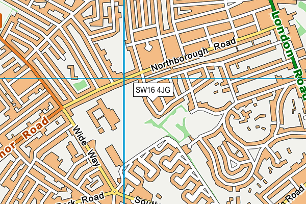 SW16 4JG map - OS VectorMap District (Ordnance Survey)