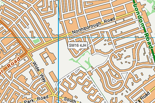 SW16 4JH map - OS VectorMap District (Ordnance Survey)