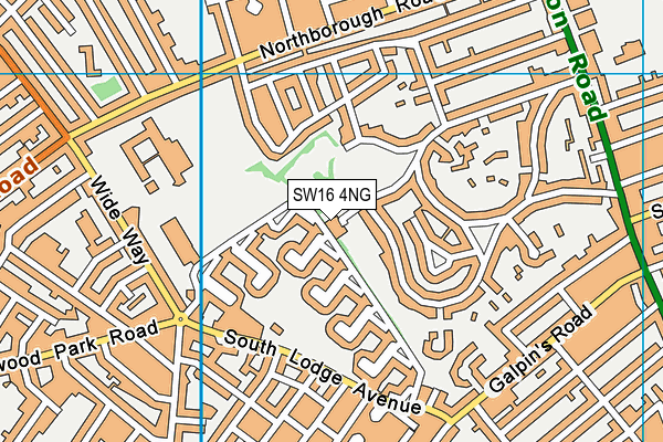 SW16 4NG map - OS VectorMap District (Ordnance Survey)