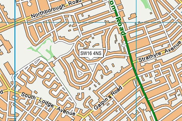 SW16 4NS map - OS VectorMap District (Ordnance Survey)