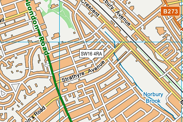 SW16 4RA map - OS VectorMap District (Ordnance Survey)