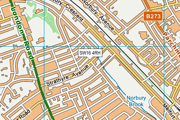 SW16 4RH map - OS VectorMap District (Ordnance Survey)