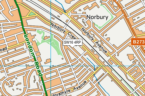 SW16 4RP map - OS VectorMap District (Ordnance Survey)