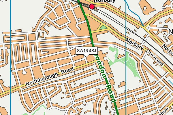 SW16 4SJ map - OS VectorMap District (Ordnance Survey)