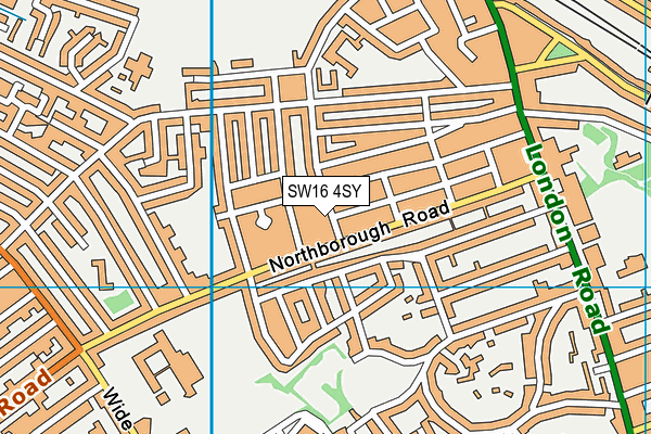 SW16 4SY map - OS VectorMap District (Ordnance Survey)