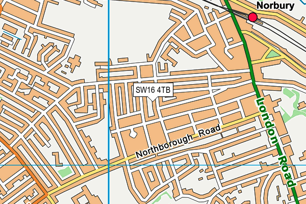 SW16 4TB map - OS VectorMap District (Ordnance Survey)