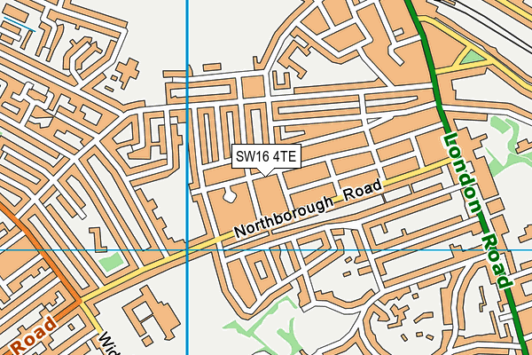 SW16 4TE map - OS VectorMap District (Ordnance Survey)