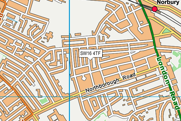 SW16 4TF map - OS VectorMap District (Ordnance Survey)