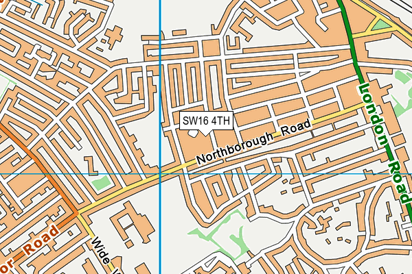 SW16 4TH map - OS VectorMap District (Ordnance Survey)