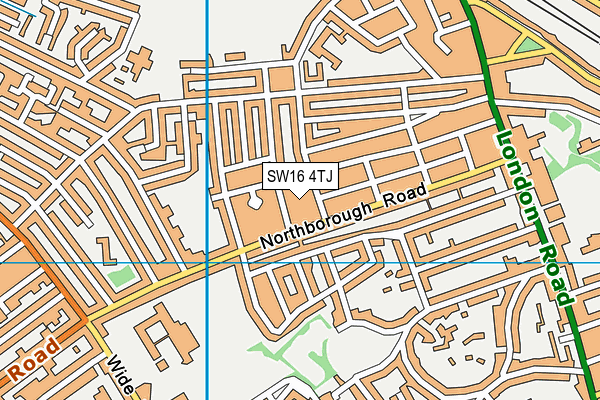 SW16 4TJ map - OS VectorMap District (Ordnance Survey)