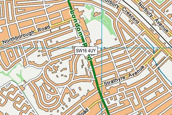 SW16 4UY map - OS VectorMap District (Ordnance Survey)