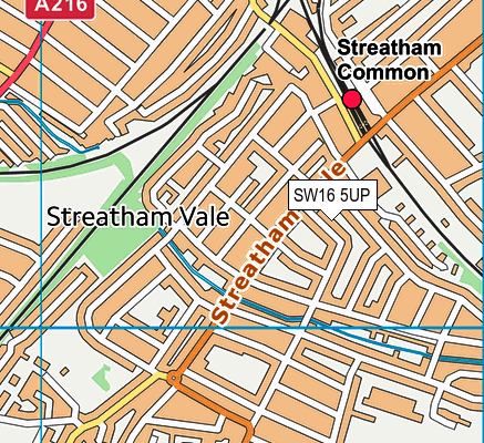 SW16 5UP map - OS VectorMap District (Ordnance Survey)