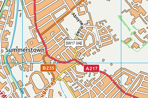 SW17 0AE map - OS VectorMap District (Ordnance Survey)