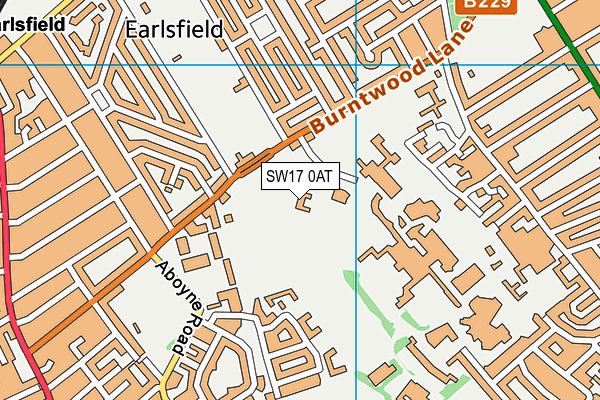 Central London Golf Centre (Closed) map (SW17 0AT) - OS VectorMap District (Ordnance Survey)