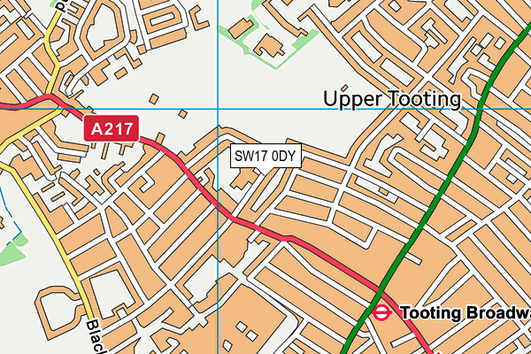 SW17 0DY map - OS VectorMap District (Ordnance Survey)