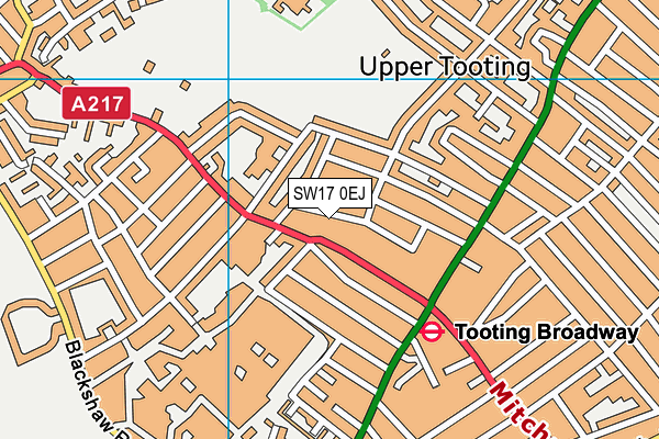 SW17 0EJ map - OS VectorMap District (Ordnance Survey)