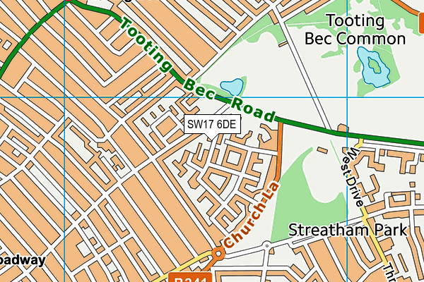 SW17 6DE map - OS VectorMap District (Ordnance Survey)