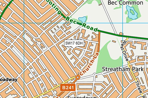 SW17 6DH map - OS VectorMap District (Ordnance Survey)