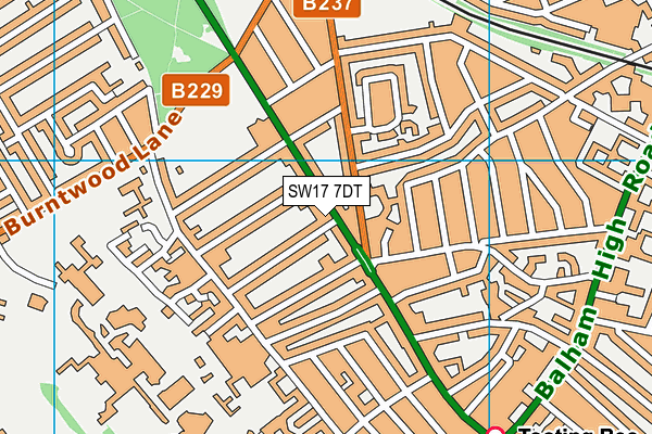 SW17 7DT map - OS VectorMap District (Ordnance Survey)
