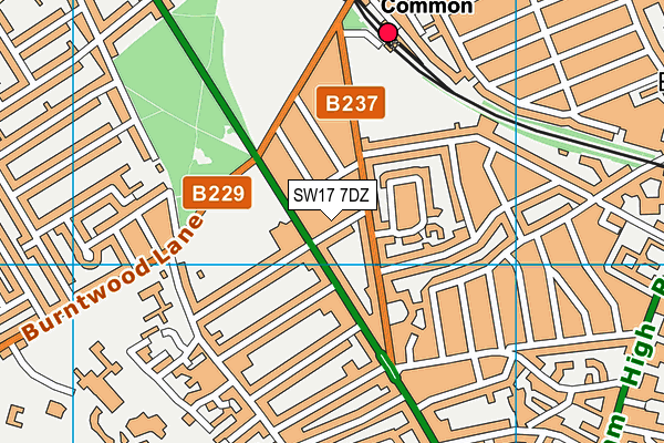 SW17 7DZ map - OS VectorMap District (Ordnance Survey)