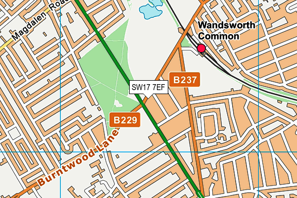 SW17 7EF map - OS VectorMap District (Ordnance Survey)