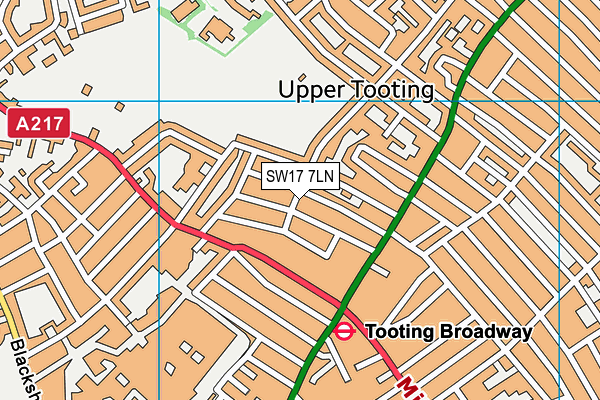 SW17 7LN map - OS VectorMap District (Ordnance Survey)