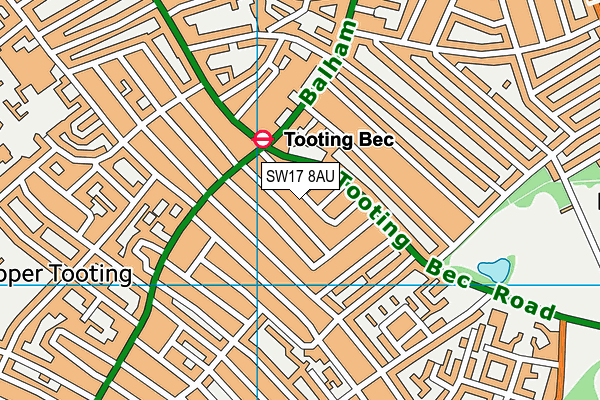 SW17 8AU map - OS VectorMap District (Ordnance Survey)