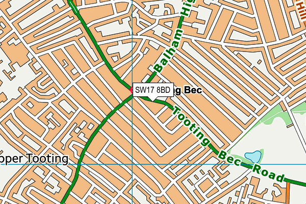 SW17 8BD map - OS VectorMap District (Ordnance Survey)