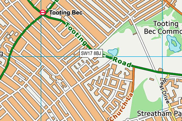 SW17 8BJ map - OS VectorMap District (Ordnance Survey)