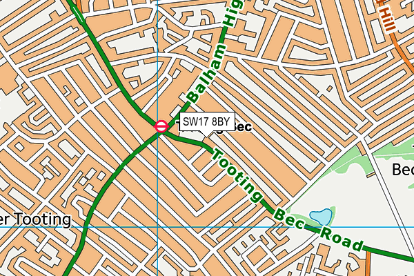 SW17 8BY map - OS VectorMap District (Ordnance Survey)