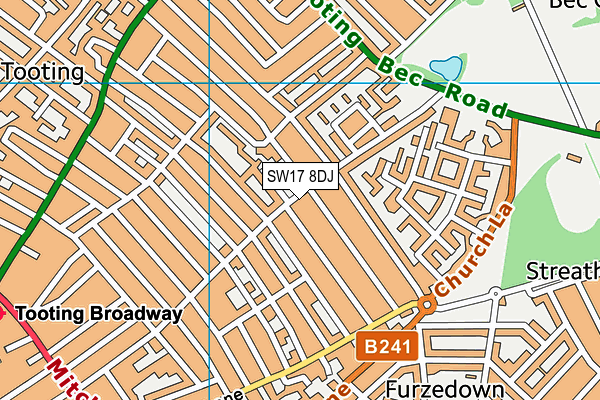 SW17 8DJ map - OS VectorMap District (Ordnance Survey)