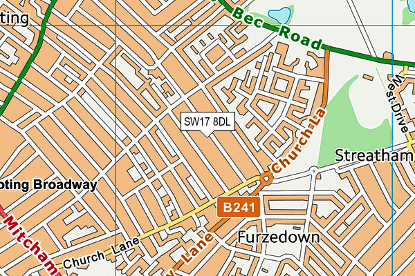 SW17 8DL map - OS VectorMap District (Ordnance Survey)