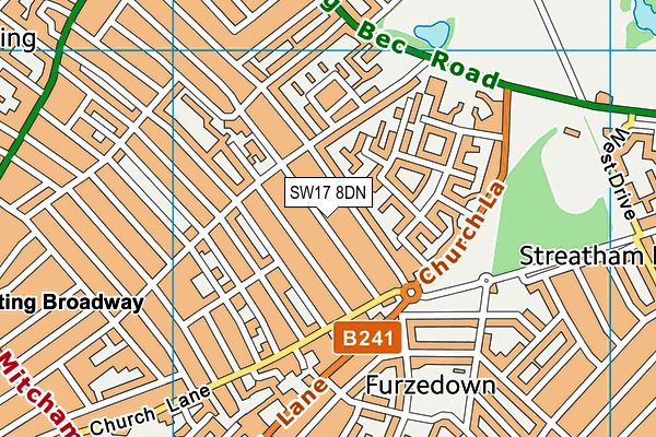 SW17 8DN map - OS VectorMap District (Ordnance Survey)