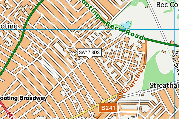 SW17 8DS map - OS VectorMap District (Ordnance Survey)