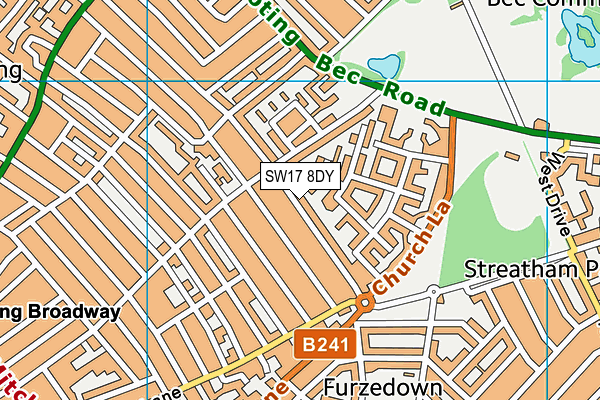 SW17 8DY map - OS VectorMap District (Ordnance Survey)